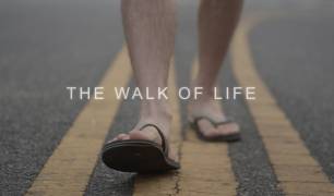 Yoga – The Walk Of Life